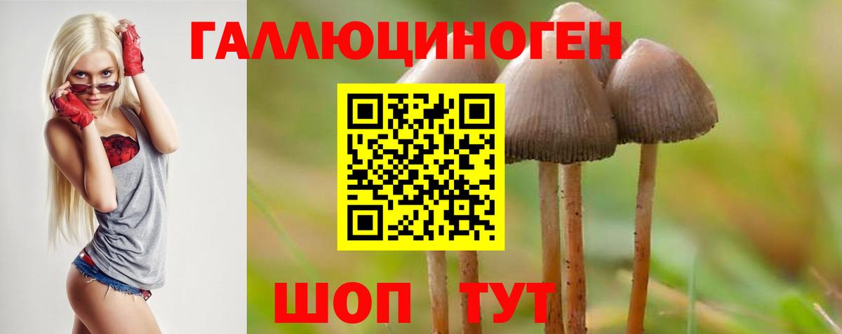 Псилоцибиновые грибы Psilocybine cubensis  Вход с VPN  Псилоцибиновые грибы ЛСД  Обнинск 